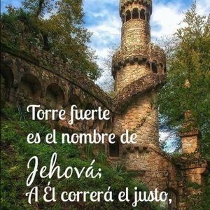 Meet your Posher, Iris